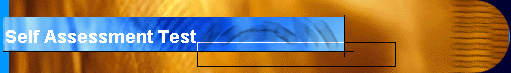 Self Assessment Test