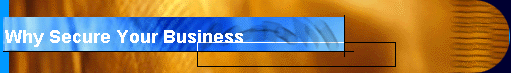 Why Secure Your Business